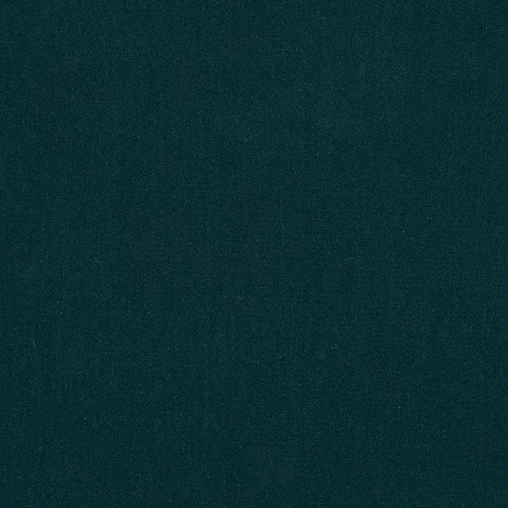 20950-17 by Charlotte Fabric Faux Mohair 100% Woven Polyester Mohair Asia Exceeds 100,000 Wyzenbeek Rubs (Heavy Duty) No Repeat 54 Inches - Fabric Carolina -