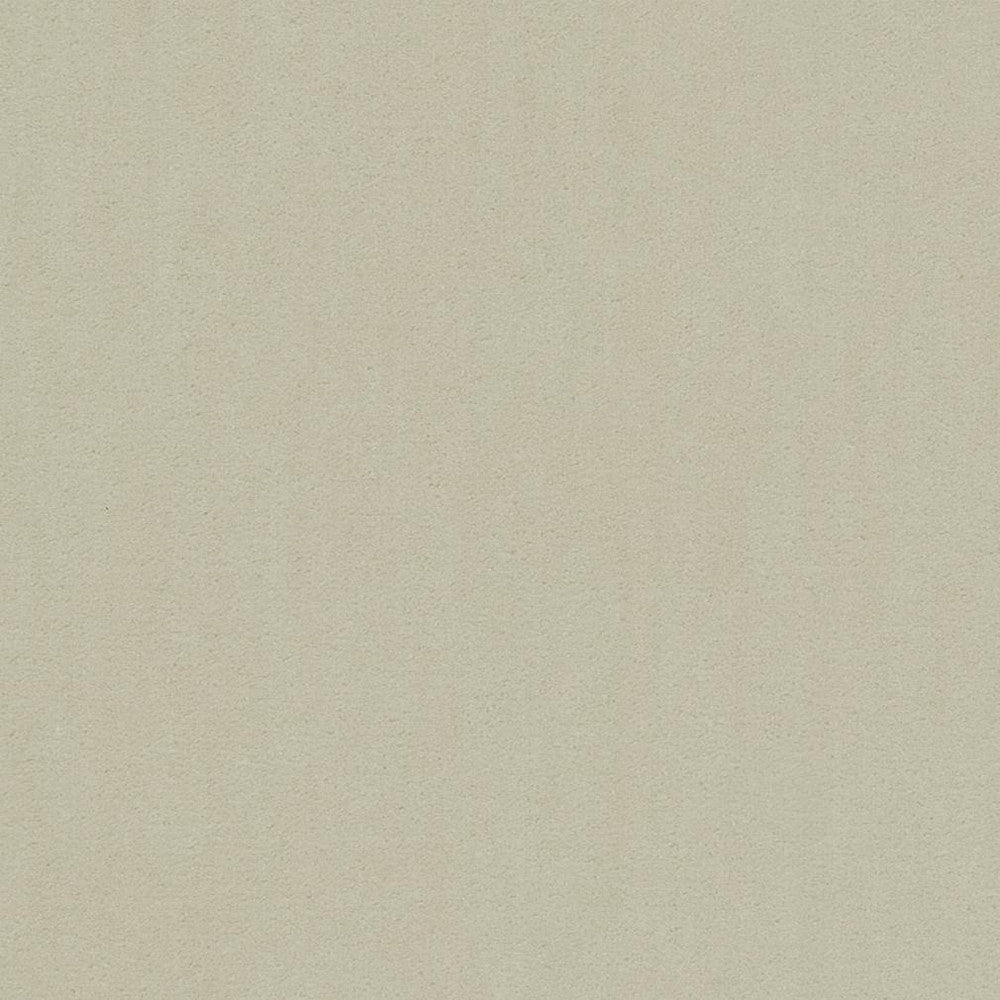 20950-18 by Charlotte Fabric Faux Mohair 100% Woven Polyester Mohair Asia Exceeds 100,000 Wyzenbeek Rubs (Heavy Duty) No Repeat 54 Inches - Fabric Carolina -