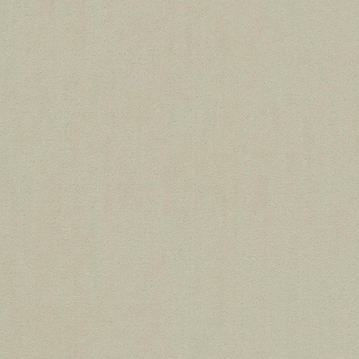 20950-18 by Charlotte Fabric Faux Mohair 100% Woven Polyester Mohair Asia Exceeds 100,000 Wyzenbeek Rubs (Heavy Duty) No Repeat 54 Inches - Fabric Carolina -