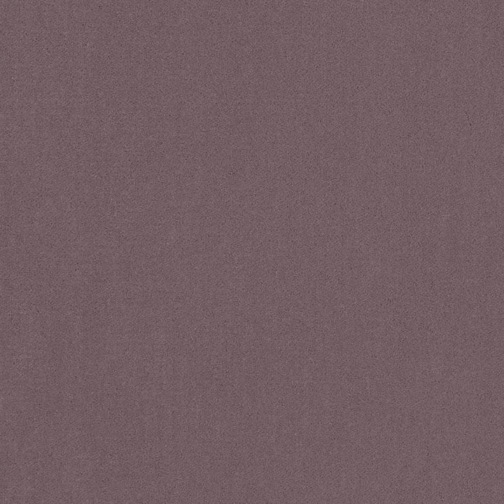 20950-20 by Charlotte Fabric Faux Mohair 100% Woven Polyester Mohair Asia Exceeds 100,000 Wyzenbeek Rubs (Heavy Duty) No Repeat 54 Inches - Fabric Carolina -