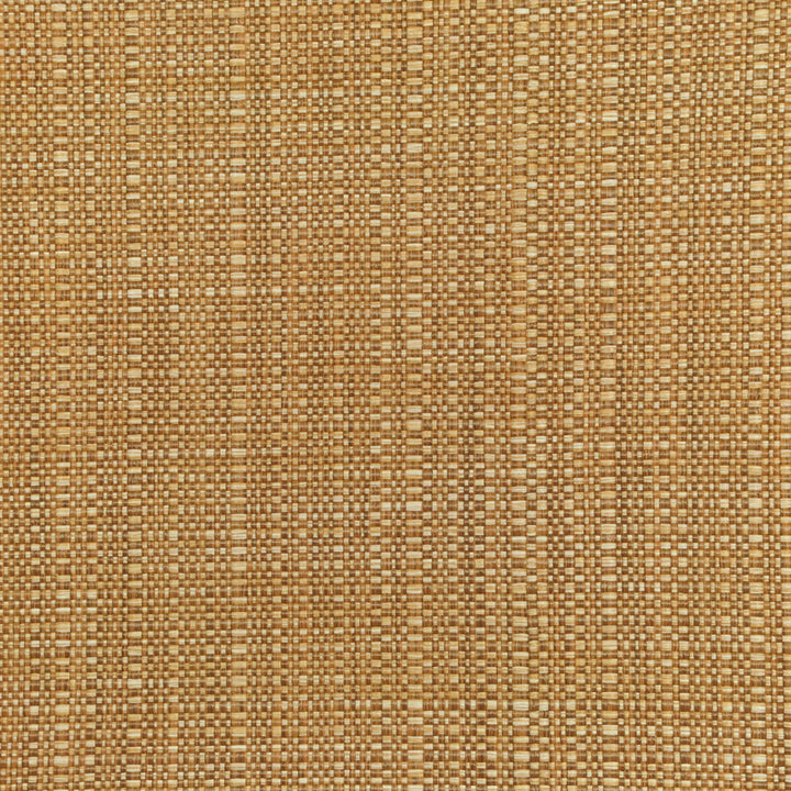 Tatami Harvest 127 by P Kaufmann Fabrics Fabric