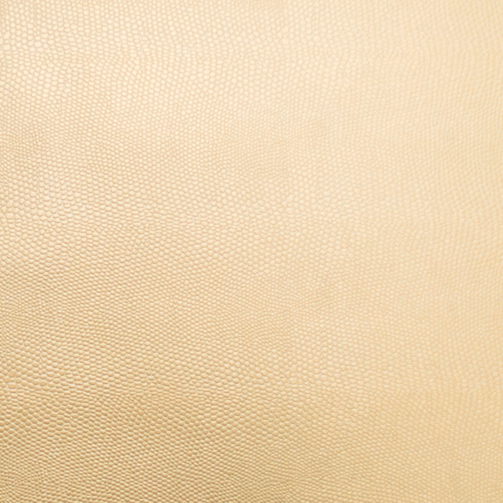 Pioneer 20 by Europatex Fabric Pioneer 40% Polyester, 55% PVC, 5% PU 55.00 inches - Fabric Carolina -