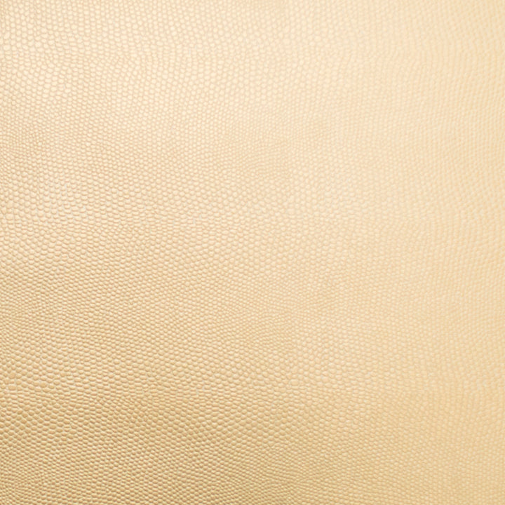 Pioneer 20 by Europatex Fabric Pioneer 40% Polyester, 55% PVC, 5% PU 55.00 inches - Fabric Carolina -