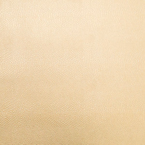 Pioneer 20 by Europatex Fabric