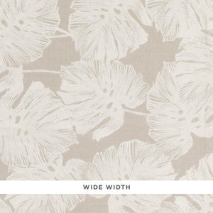 Del Coco Sheer Natural 178340 by Schumacher Fabric