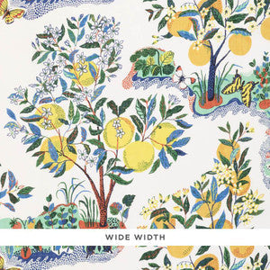 Citrus Garden Sheer Primary 178350 by Schumacher Fabric