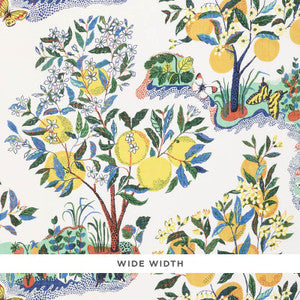 Citrus Garden Sheer Primary 178350 by Schumacher Fabric