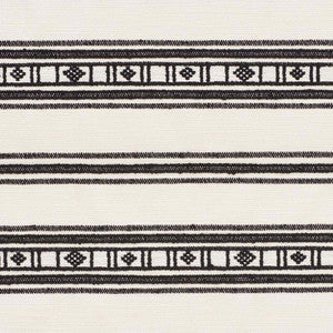Buena Vista Black 74481 by Schumacher Fabric