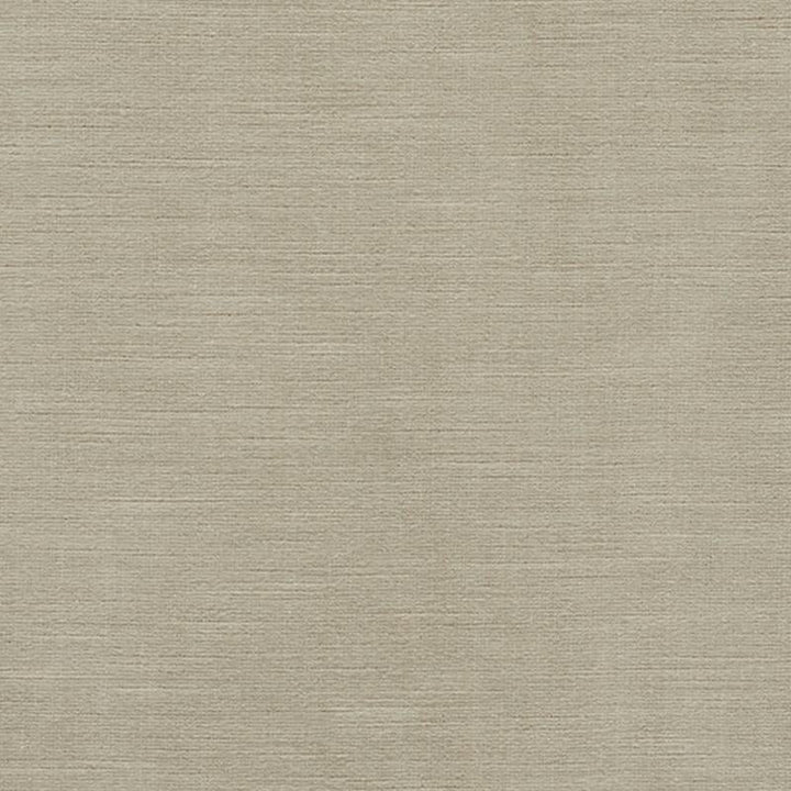 Antique Linen Velvet Ii Stone 75705 by Schumacher Fabric Perfect Basics: Velvet - Fabric Carolina -