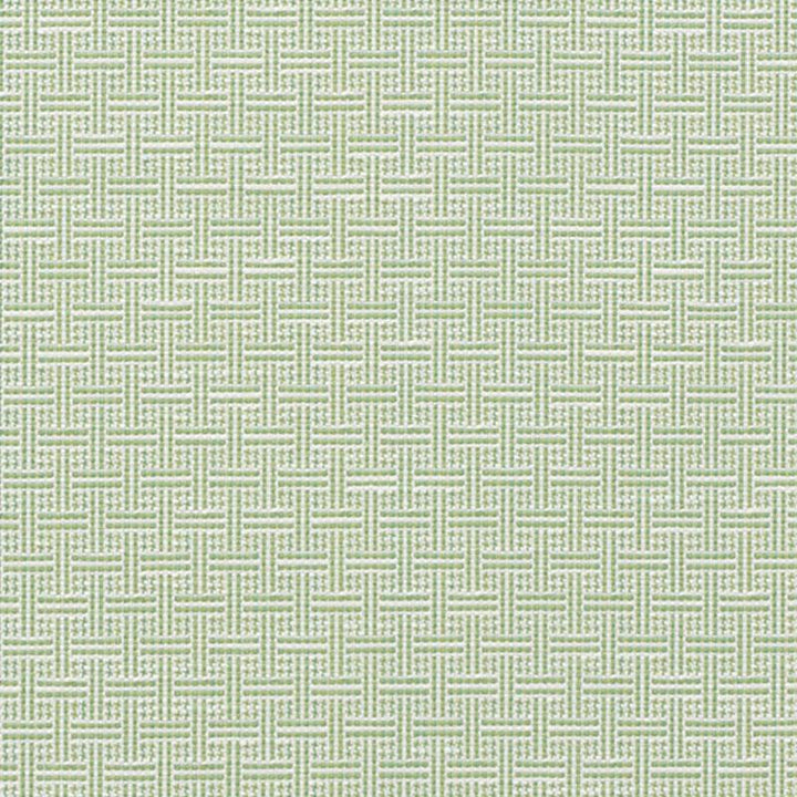Brickell Indoor/Outdoor Leaf 75931 by Schumacher Fabric Indoor/Outdoor: Prints & Wovens 1.0" - Fabric Carolina -