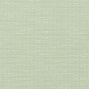Brickell Indoor/Outdoor Leaf 75931 by Schumacher Fabric