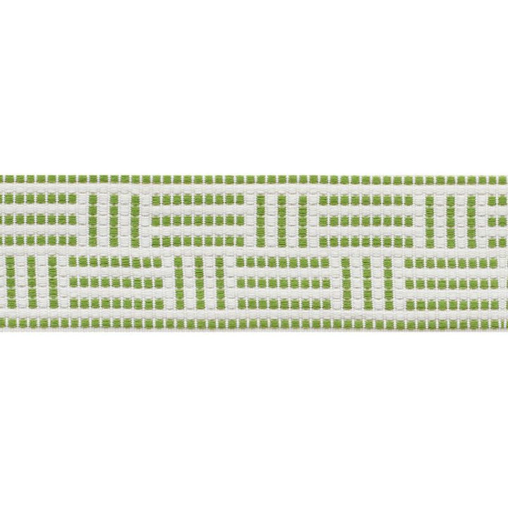 Brickell Tape Indoor/Outdoor Leaf 75961 by Schumacher Trim Indoor/Outdoor: Prints & Wovens 2.5" - Fabric Carolina -
