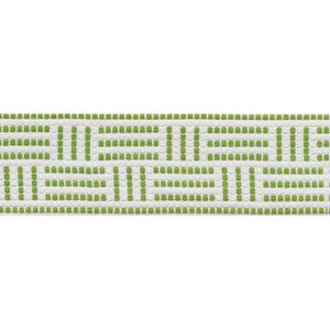 Brickell Tape Indoor/Outdoor Leaf 75961 by Schumacher Trim