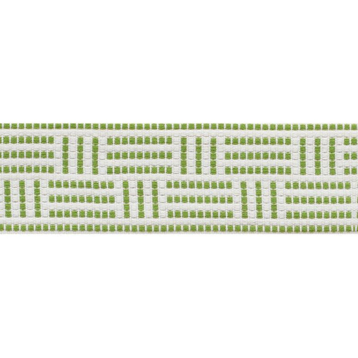 Brickell Tape Indoor/Outdoor Leaf 75961 by Schumacher Designer Trim Indoor/Outdoor: Prints & Wovens 2.5" - Swanky Fabrics -