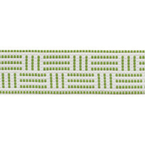 Brickell Tape Indoor/Outdoor Leaf 75961 by Schumacher Trim