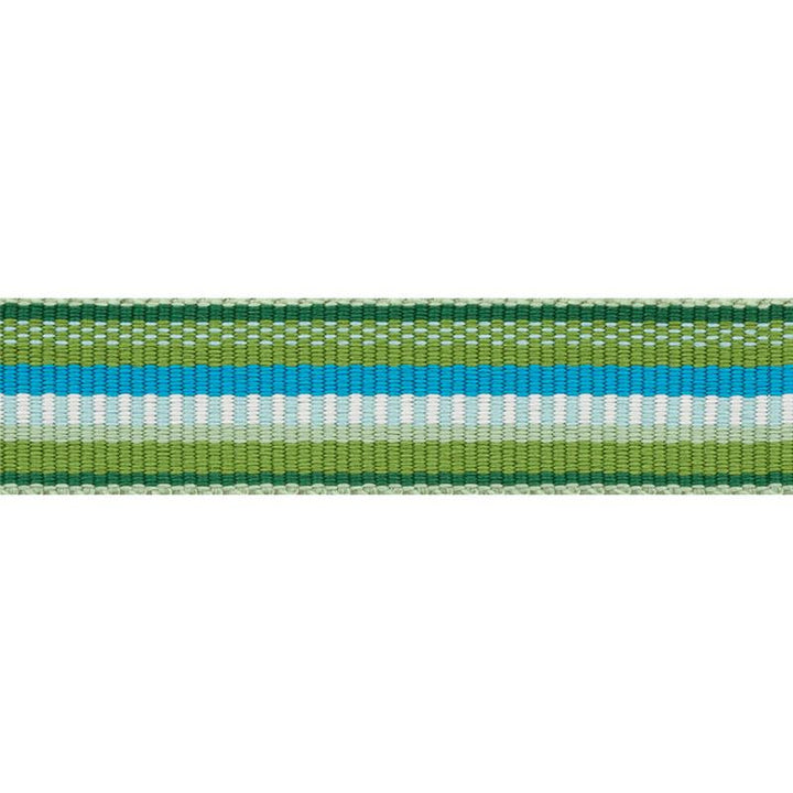 Primavera Tape Narrow Meadow 75980 by Schumacher Trim Indoor/Outdoor Prints & Wovens Iii - Fabric Carolina -