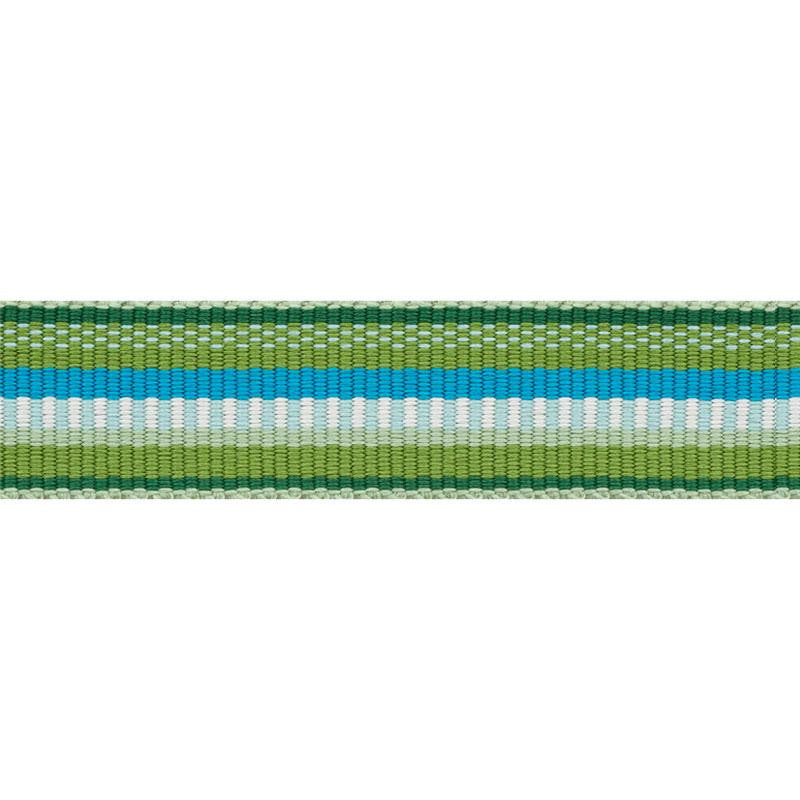 Primavera Tape Narrow Meadow 75980 by Schumacher Designer Trim Indoor/Outdoor Prints & Wovens Iii - Swanky Fabrics -