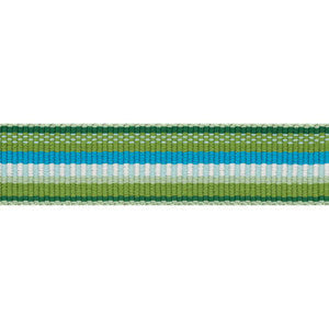 Primavera Tape Narrow Meadow 75980 by Schumacher Trim
