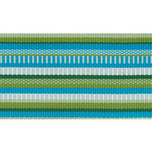 Primavera Tape Wide Meadow 75990 by Schumacher Trim