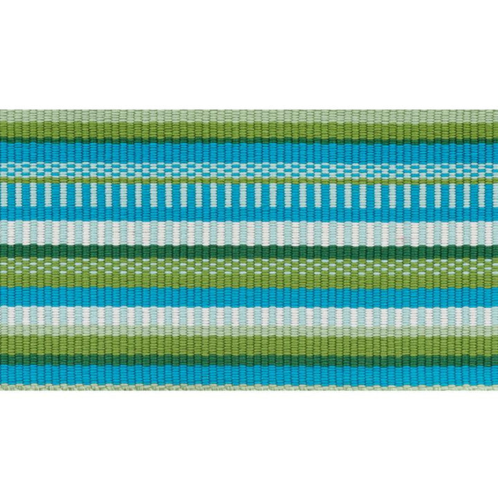 Primavera Tape Wide Meadow 75990 by Schumacher Trim Indoor/Outdoor Prints & Wovens Iii - Fabric Carolina -