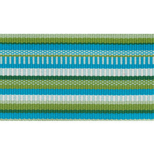 Primavera Tape Wide Meadow 75990 by Schumacher Trim