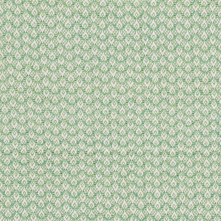 Crosby Leaf 76151 by Schumacher Fabric Free Spirit 5.5" - Fabric Carolina -