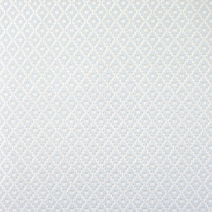 2134 72W6751 by JF Wallcovering