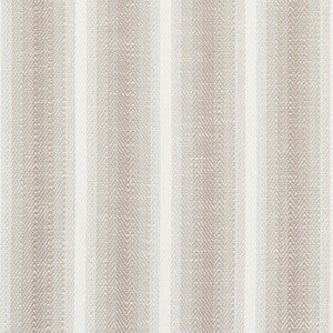 Colada Stripe Indoor/Outdoor Natural 76662 by Schumacher Fabric