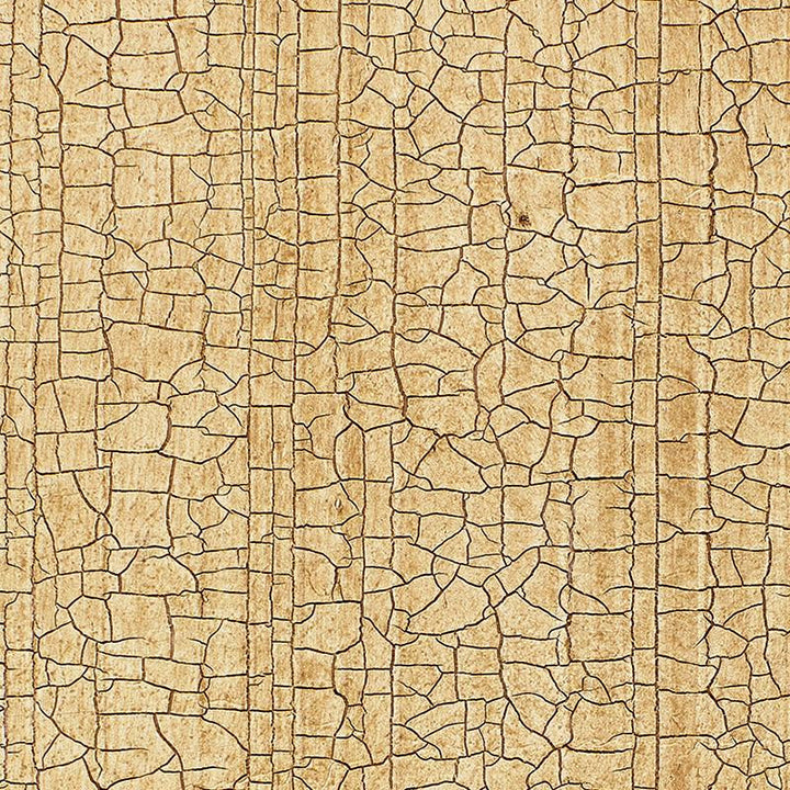 Masaccio Ground Bisque 5003760 by Schumacher Wallpaper Palazzo Damasks - Fabric Carolina -