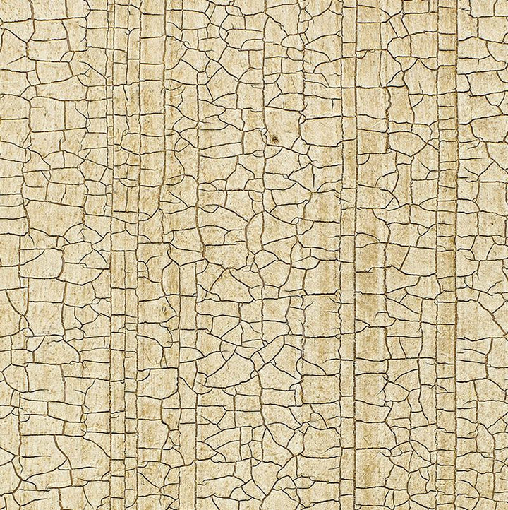 Masaccio Ground Champagne 5003761 by Schumacher Wallpaper Palazzo Damasks - Fabric Carolina -