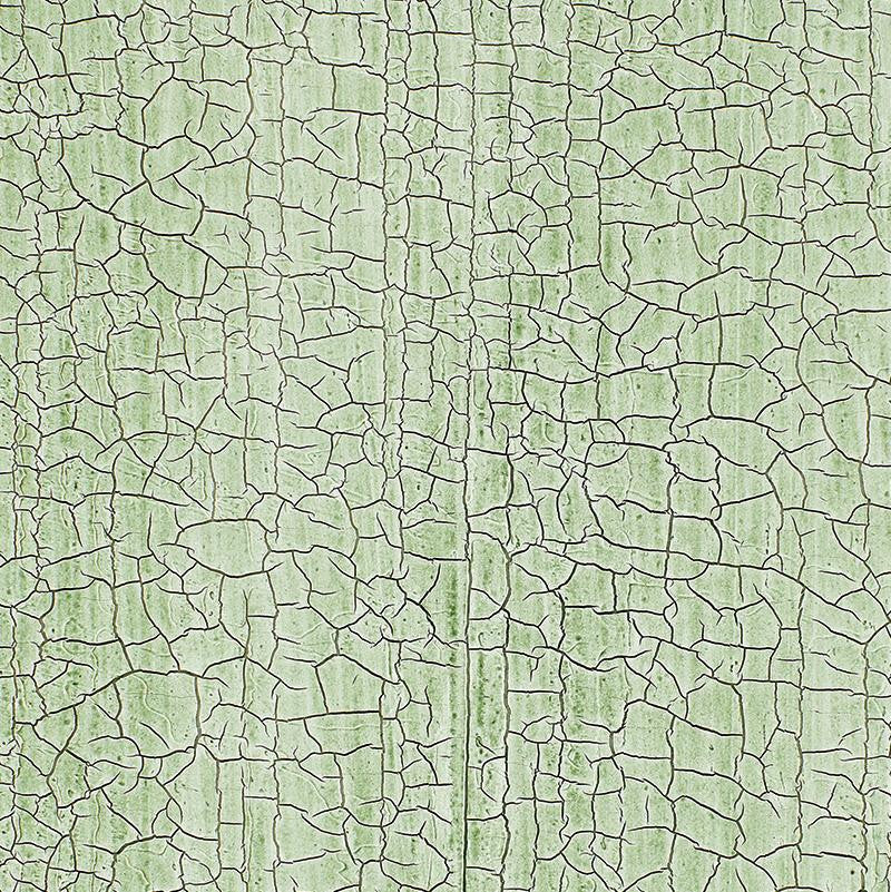 Masaccio Ground Aqua 5003763 by Schumacher Wallpaper Palazzo Damasks - Fabric Carolina -