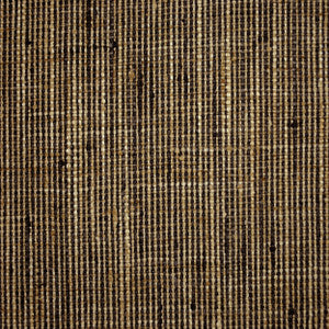 Trailside Safari 816 by P Kaufmann Fabrics Fabric
