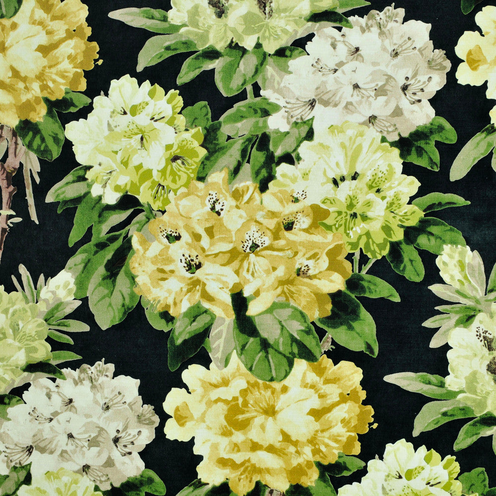 Traviata Midnight 1 by P Kaufmann Fabrics Fabric