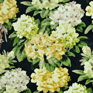 Traviata Midnight 1 by P Kaufmann Fabrics Fabric