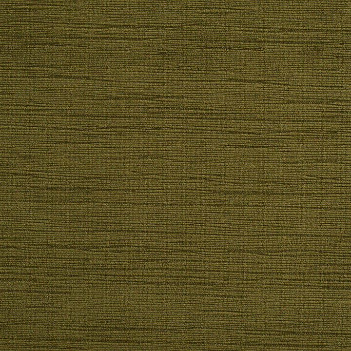2175 Moss by Charlotte Designer Fabric Tapestry Classics 100% Woven Polyester Velvet Asia Exceeds 192,000 Wyzenbeek Rubs (Heavy Duty) No Repeat 54 Inches - Swanky Fabrics -
