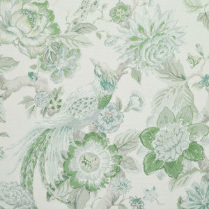Valentina C Foam 4 by P Kaufmann Fabrics Fabric