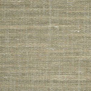 Alessandro Lichen 349 by P Kaufmann Fabrics Fabric