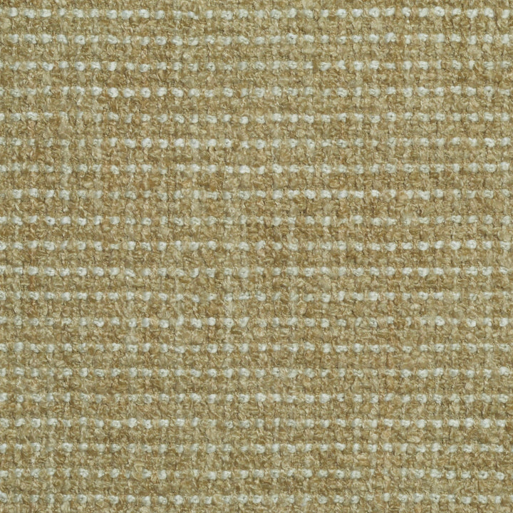 Vice Versa Tahini 114 by P Kaufmann Fabrics Fabric