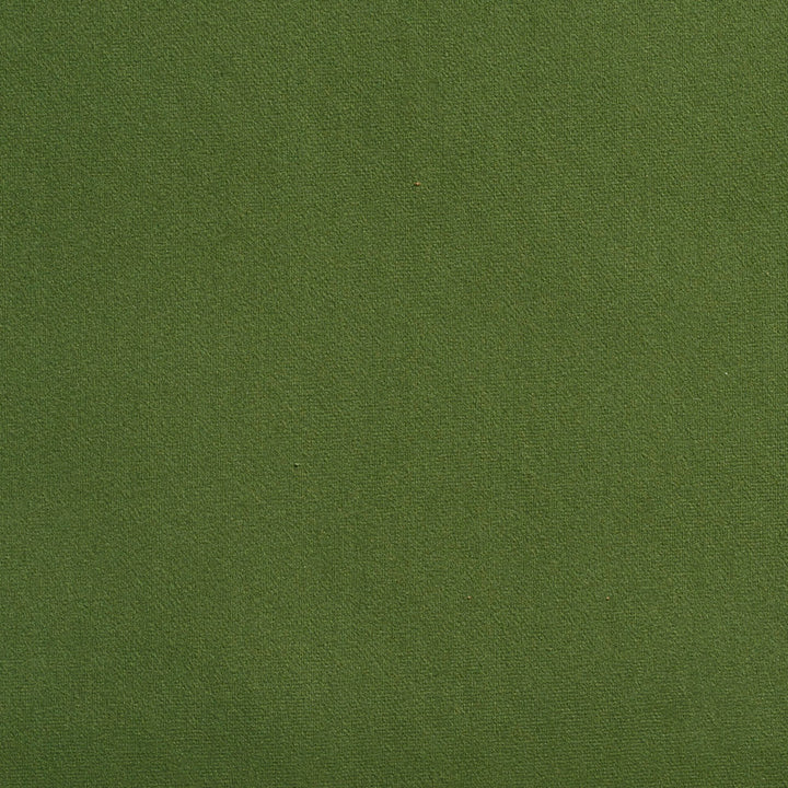 2205 Juniper by Charlotte Fabric Microfiber 100% Woven Polyester Asia Exceeds 100,000 Wyzenbeek Rubs (Heavy Duty) No Repeat 54 Inches - Fabric Carolina -