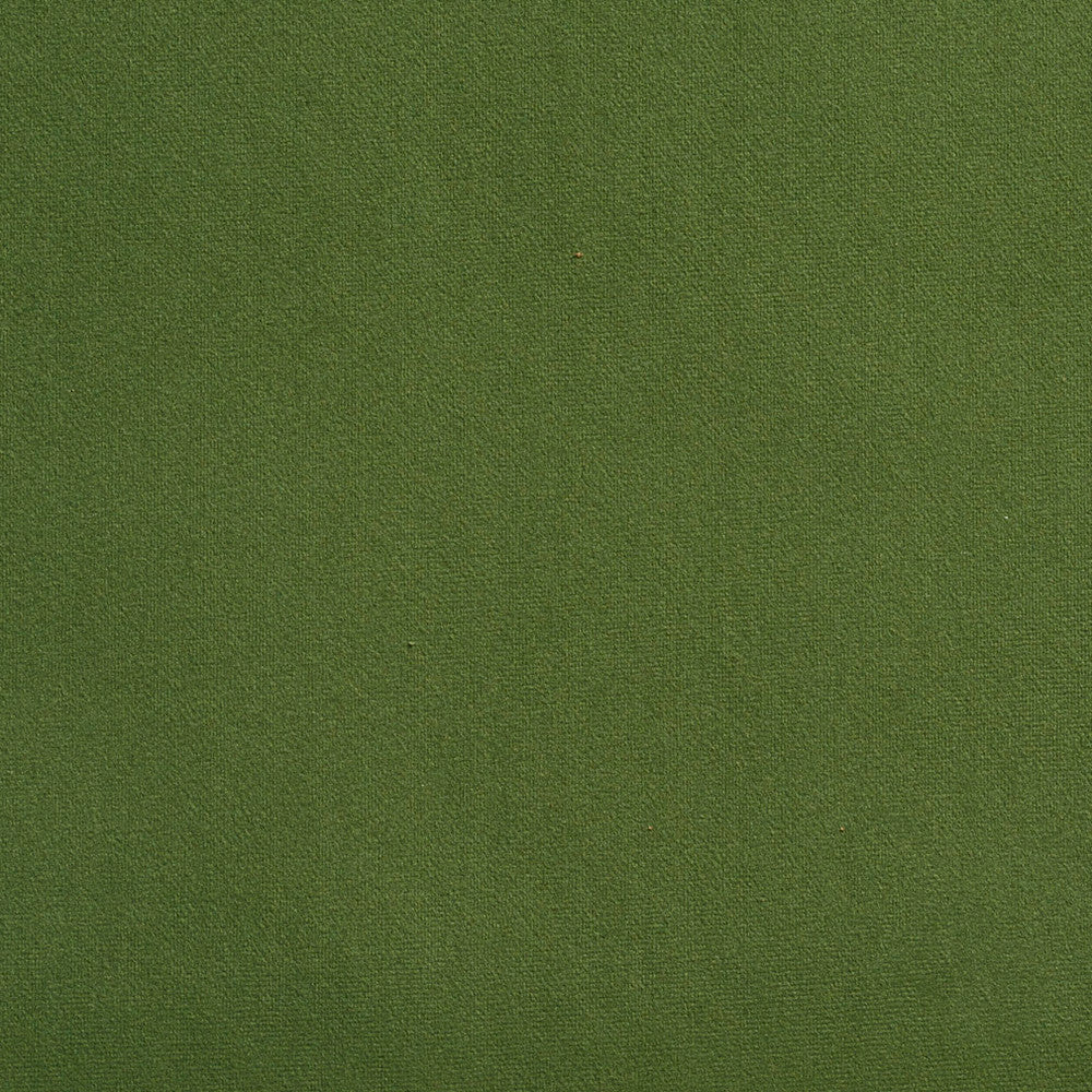 2205 Juniper by Charlotte Fabric Microfiber 100% Woven Polyester Asia Exceeds 100,000 Wyzenbeek Rubs (Heavy Duty) No Repeat 54 Inches - Fabric Carolina -