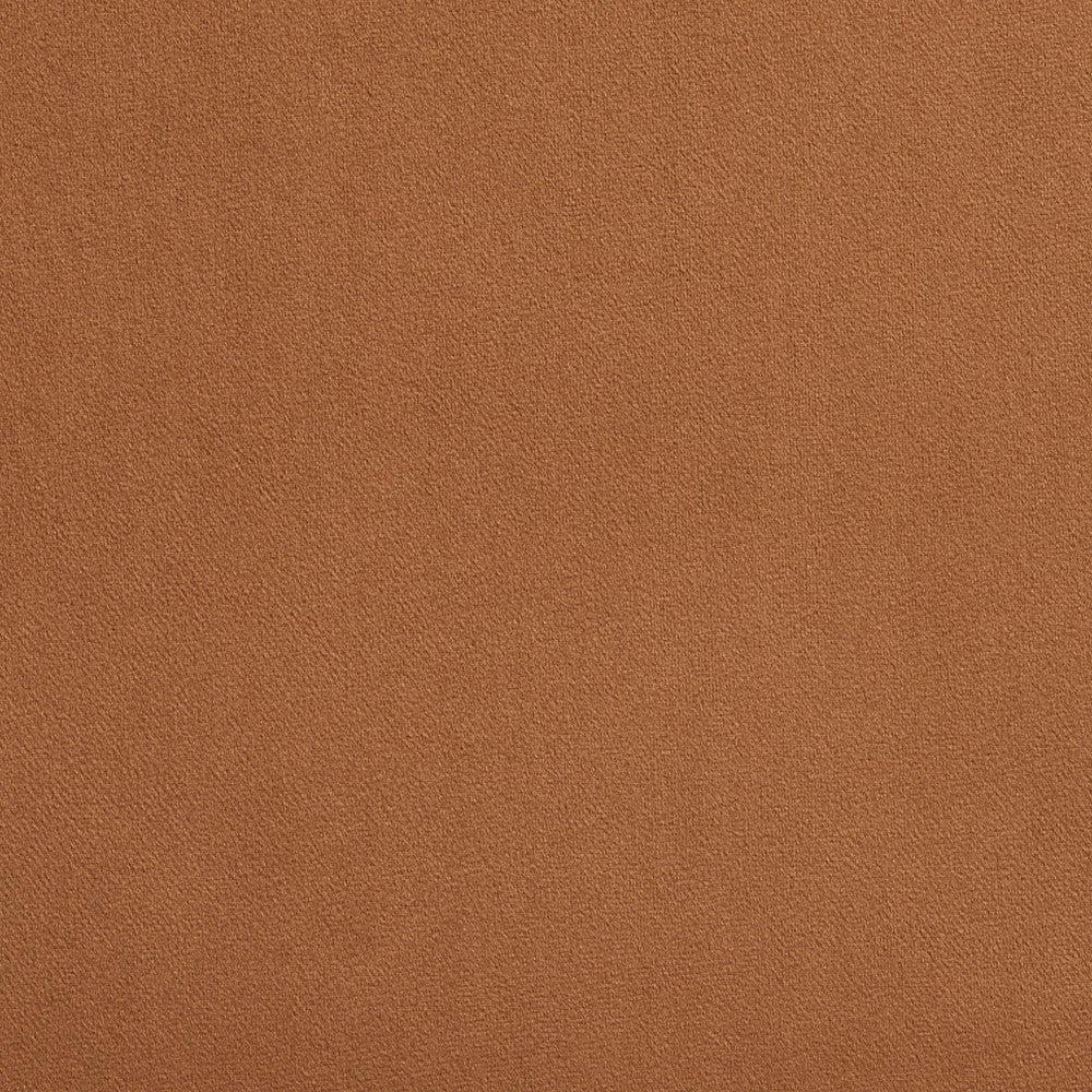 2207 Latte by Charlotte Fabric Microfiber 100% Woven Polyester Asia Exceeds 100,000 Wyzenbeek Rubs (Heavy Duty) No Repeat 54 Inches - Fabric Carolina -