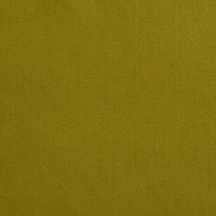 2208 Spring by Charlotte Fabric Microfiber 100% Woven Polyester Asia Exceeds 100,000 Wyzenbeek Rubs (Heavy Duty) No Repeat 54 Inches - Fabric Carolina -