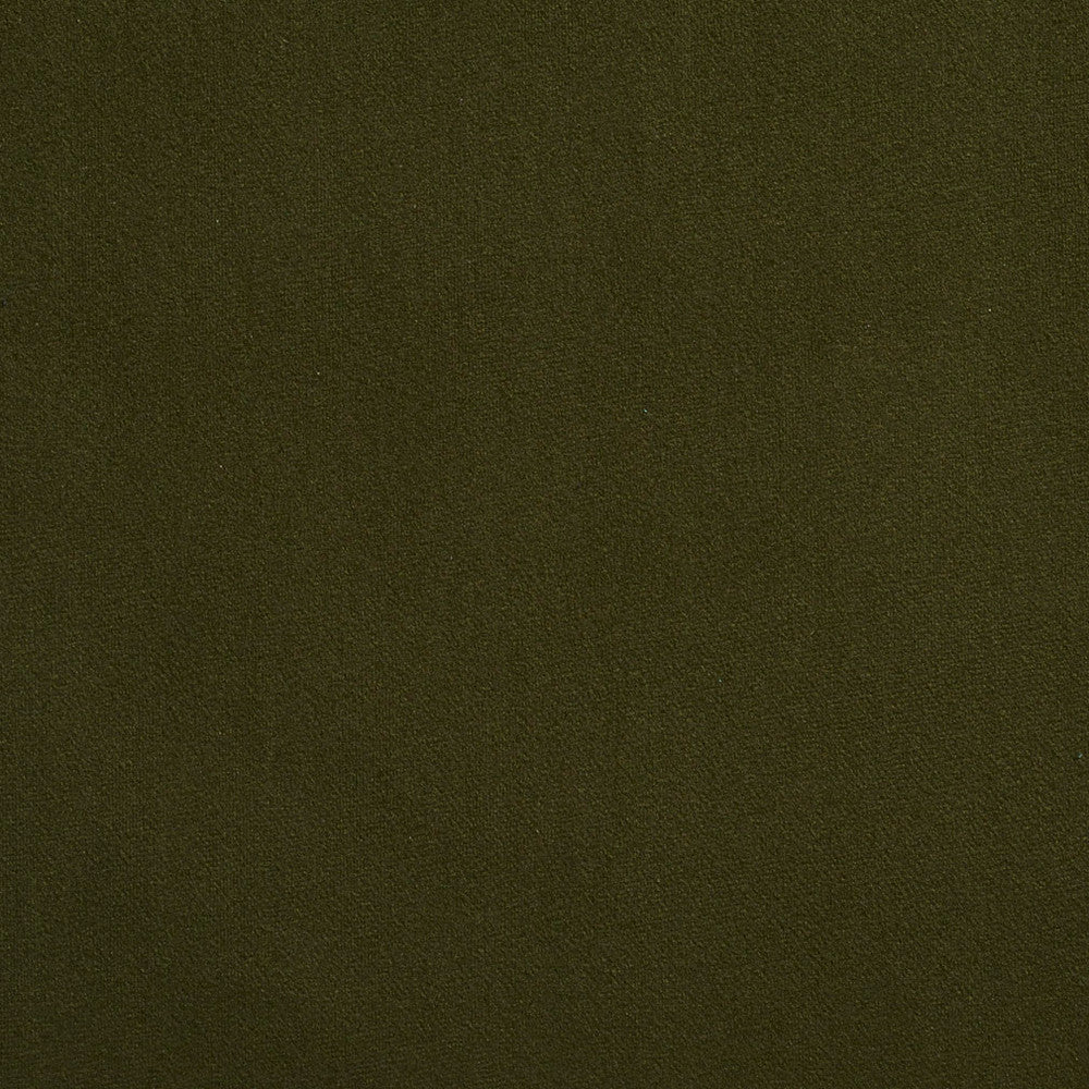 2215 Forest by Charlotte Designer Fabric Microfiber 100% Woven Polyester Asia Exceeds 100,000 Wyzenbeek Rubs (Heavy Duty) </p><p>Repeat: 54 Inches - Swanky Fabrics -