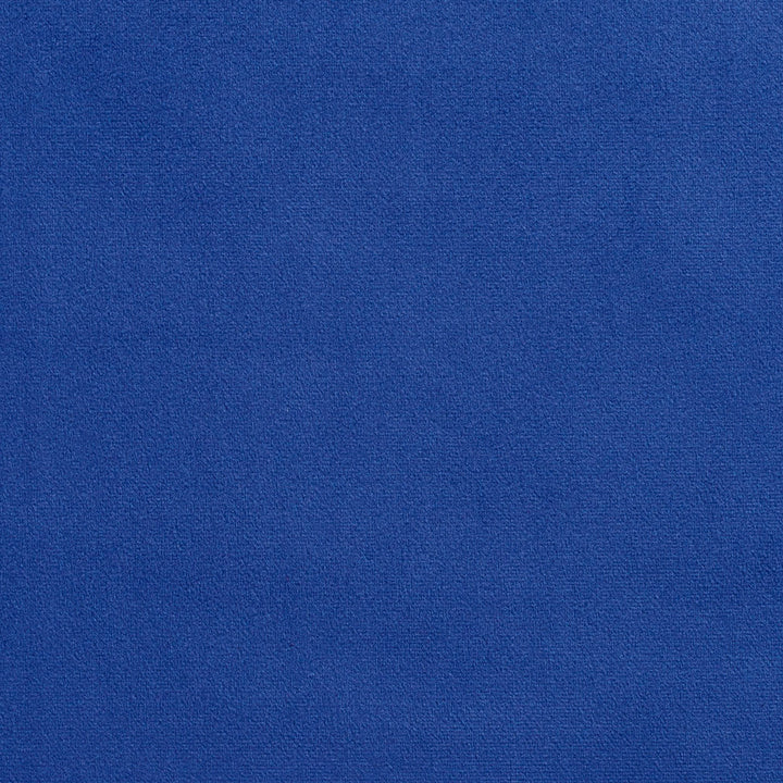 2219 Capri by Charlotte Fabric Microfiber 100% Woven Polyester Asia Exceeds 100,000 Wyzenbeek Rubs (Heavy Duty) No Repeat 54 Inches - Fabric Carolina -
