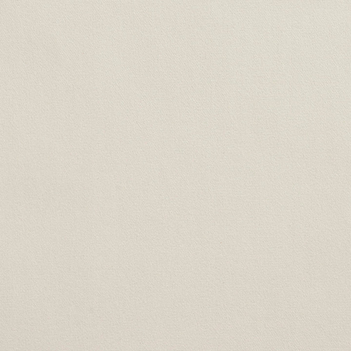 2223 Ivory by Charlotte Designer Fabric Microfiber 100% Woven Polyester Asia Exceeds 100,000 Wyzenbeek Rubs (Heavy Duty) No Repeat 54 Inches - Swanky Fabrics -