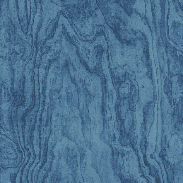 2229 69W7931 by JF Wallpaper ABUNDANCE WALLCOVERINGS 100% Wallpaper UNITED KINGDOM (see sample) Horizontal: N/A and Vertical: 12.600 20.50 - Fabric Carolina -