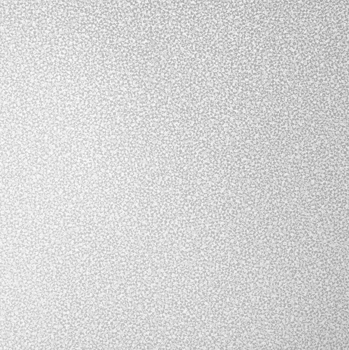 Mica Texture Beige & Silver Glitter by Seabrook Wallpaper Essential Textures Netherlands 56.05 0" 20.5" - Fabric Carolina -
