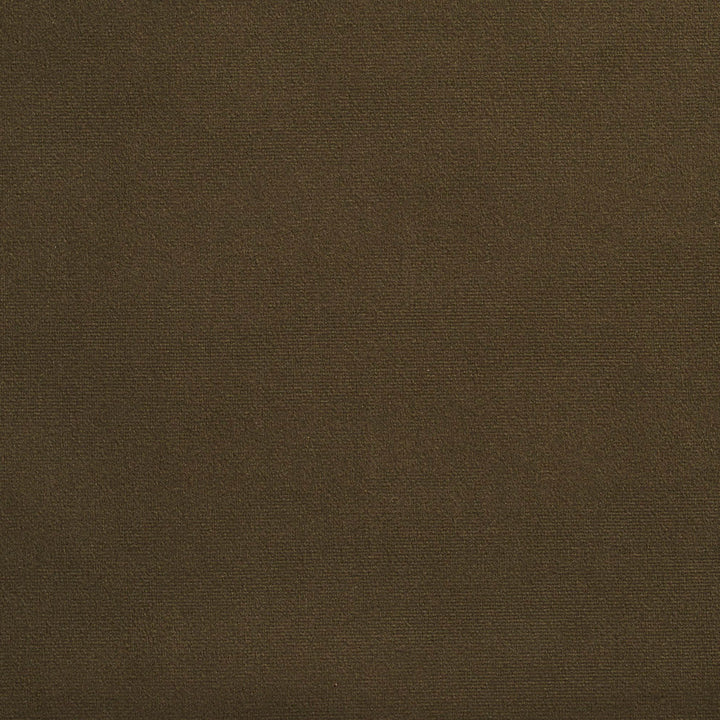 2237 Hunter by Charlotte Fabric Microfiber 100% Woven Polyester Asia Exceeds 100,000 Wyzenbeek Rubs (Heavy Duty) No Repeat 54 Inches - Fabric Carolina -