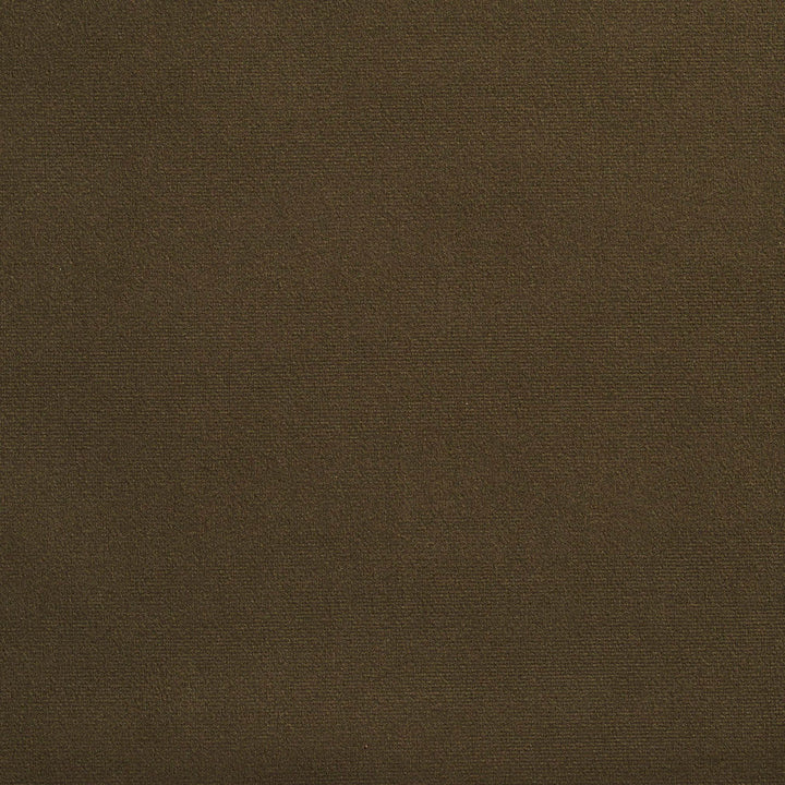 2237 Hunter by Charlotte Designer Fabric Microfiber 100% Woven Polyester Asia Exceeds 100,000 Wyzenbeek Rubs (Heavy Duty) No Repeat 54 Inches - Swanky Fabrics -
