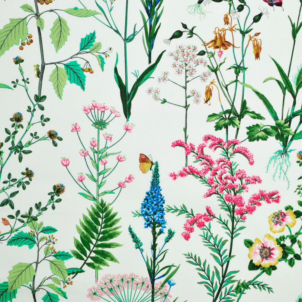 Berkshire Meadow Sunburst Nc19 5 by P Kaufmann Fabrics Fabric